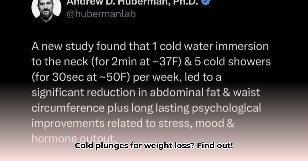 do-cold-plunges-help-with-weight-loss